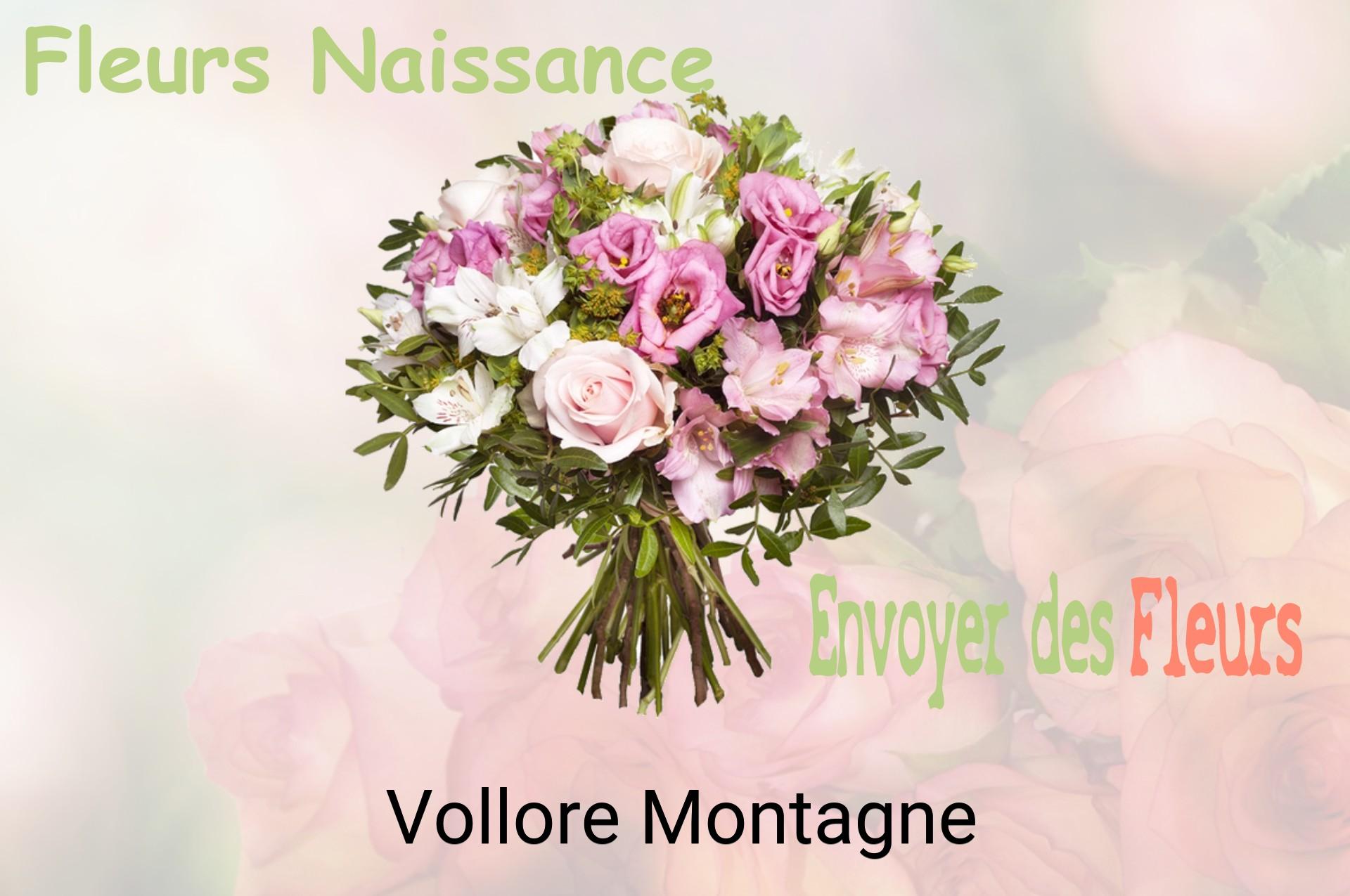 Bouquet de fleurs de naissance livré à Vollore-Montagne
